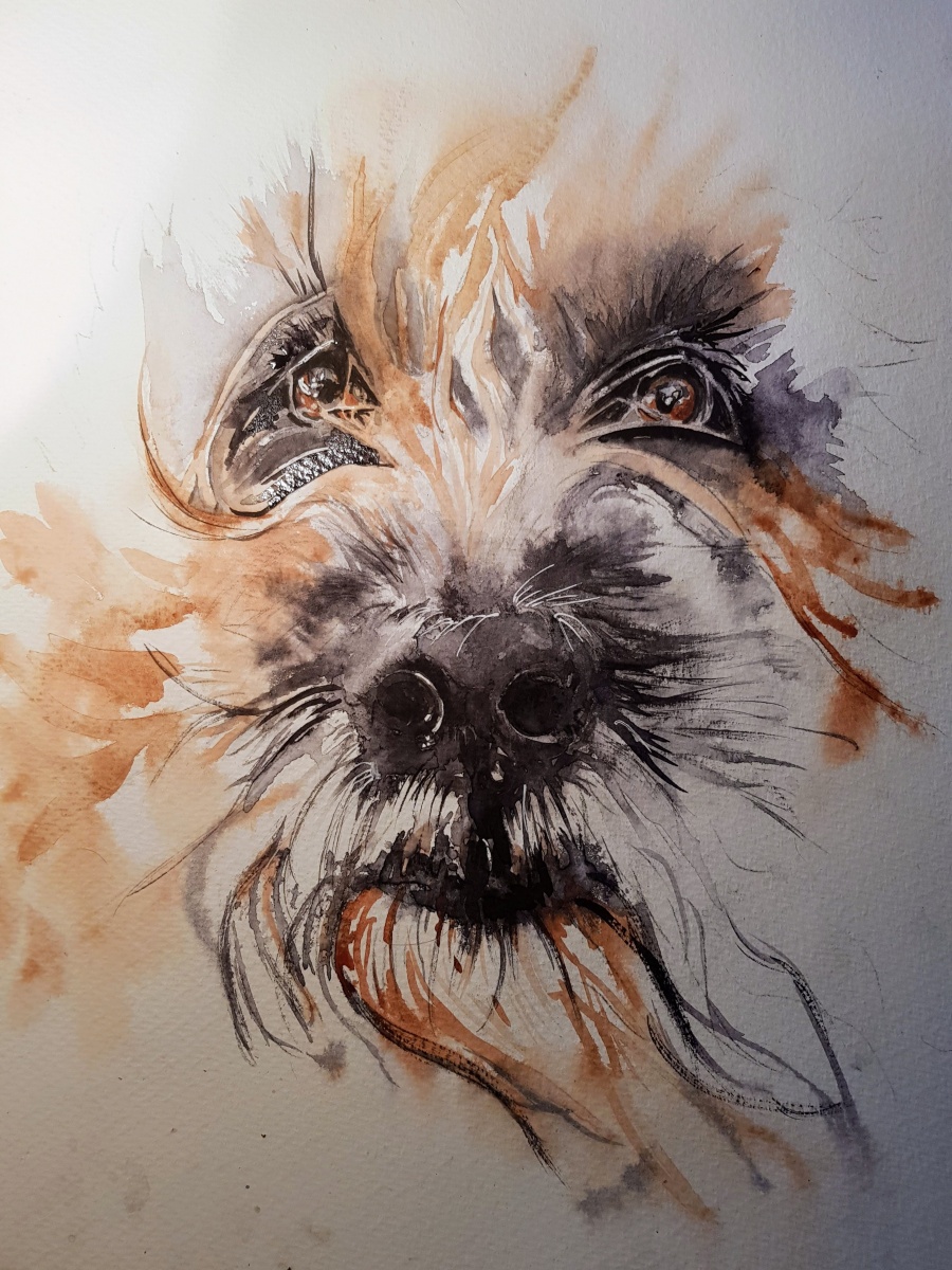 Watercolor close-up of a shaggy dog's expressive face, warm brown and black tones