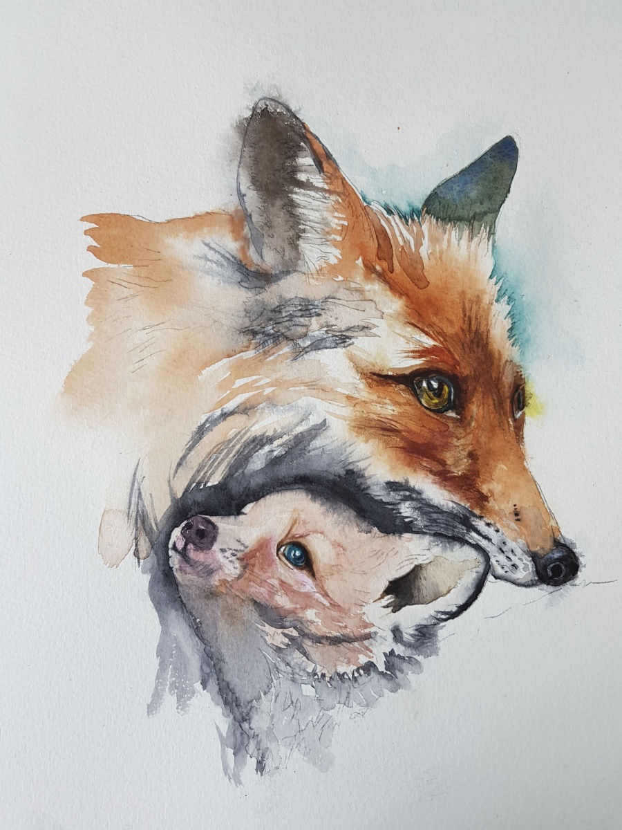 Watercolor painting of an adult fox carrying a fox cub, warm orange and gray tones, gentle mood